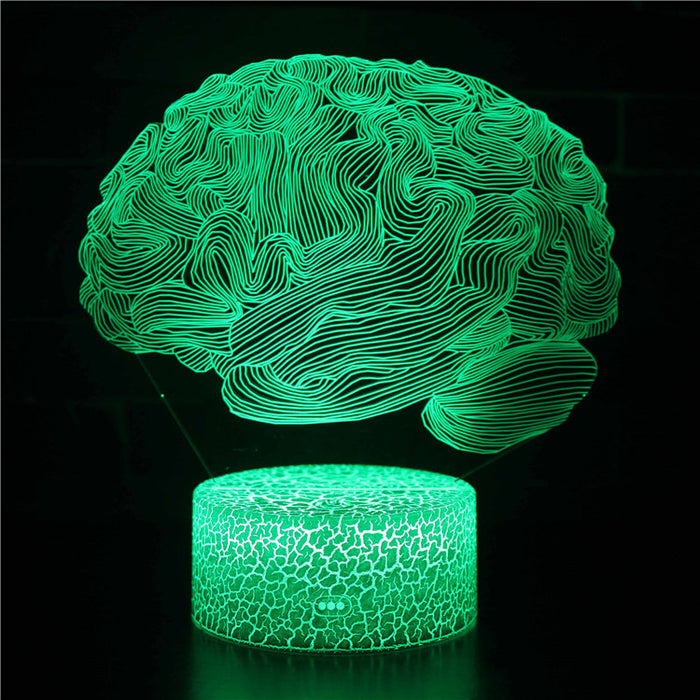 Human Brain Biology 3D Optical Illusion Lamp